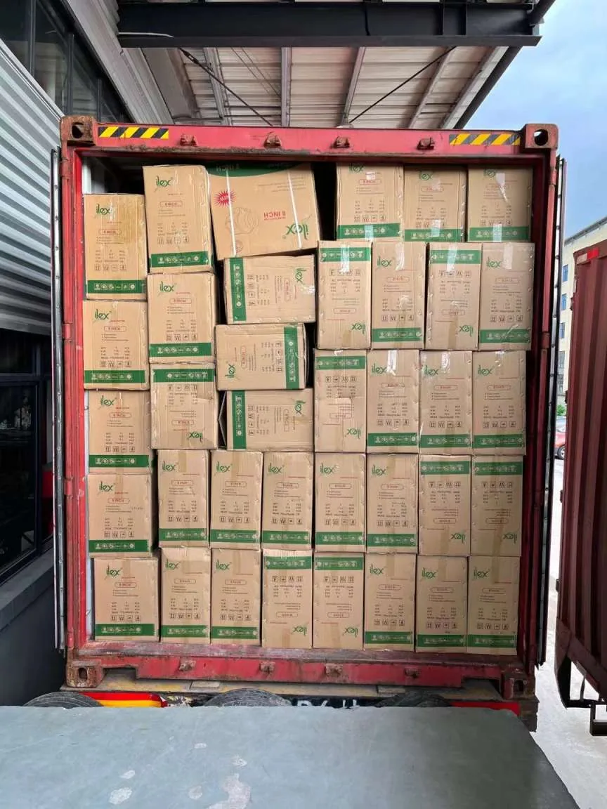 Export container loaded with cartoned BAER exhaust fans before dispatch